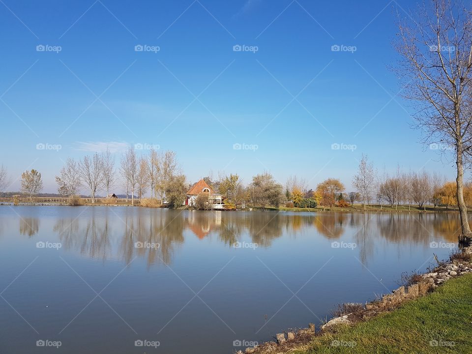 Lake, Reflection, Water, Nature, Tree