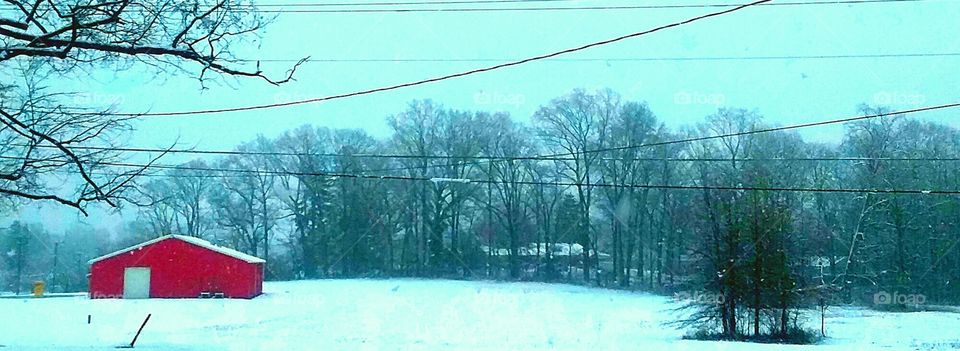 Maryland can't make up its mind? (winter or spring)