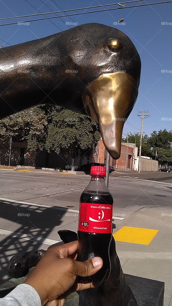 Coca Cola goose. out for a bike ride