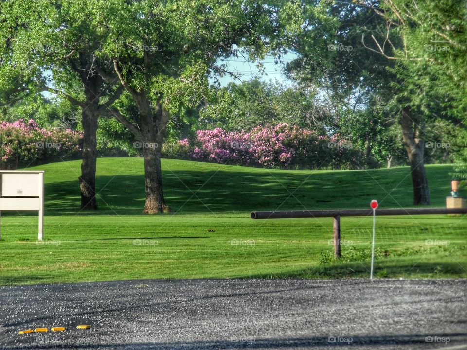 Graham golf course. This is a picture of a fairway at the local golf course