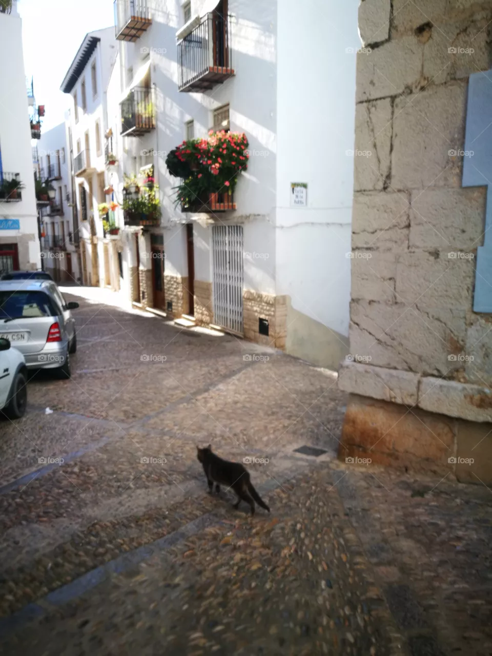 street