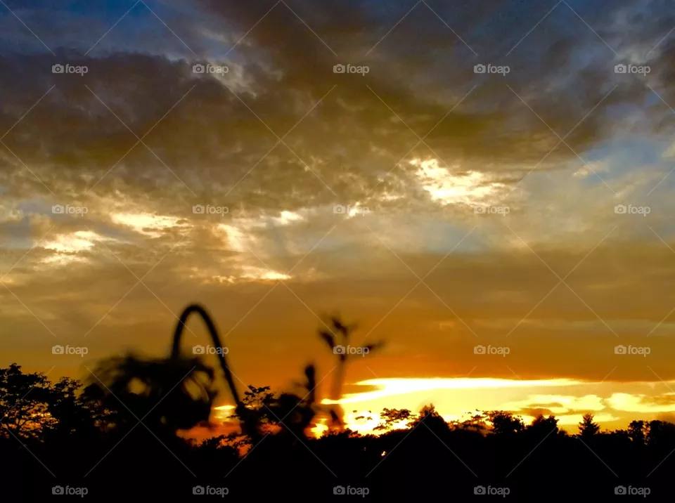 Sky