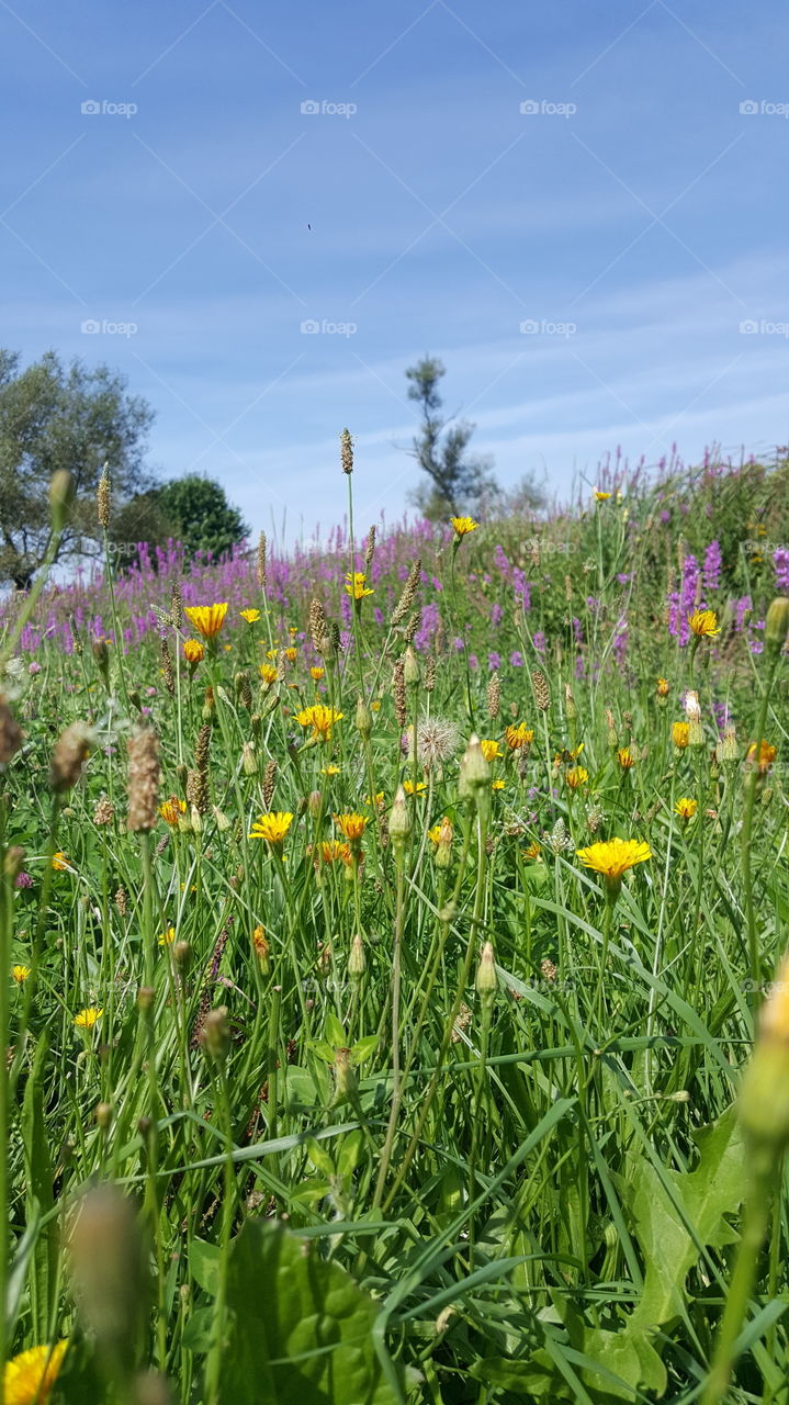 all we are talking about