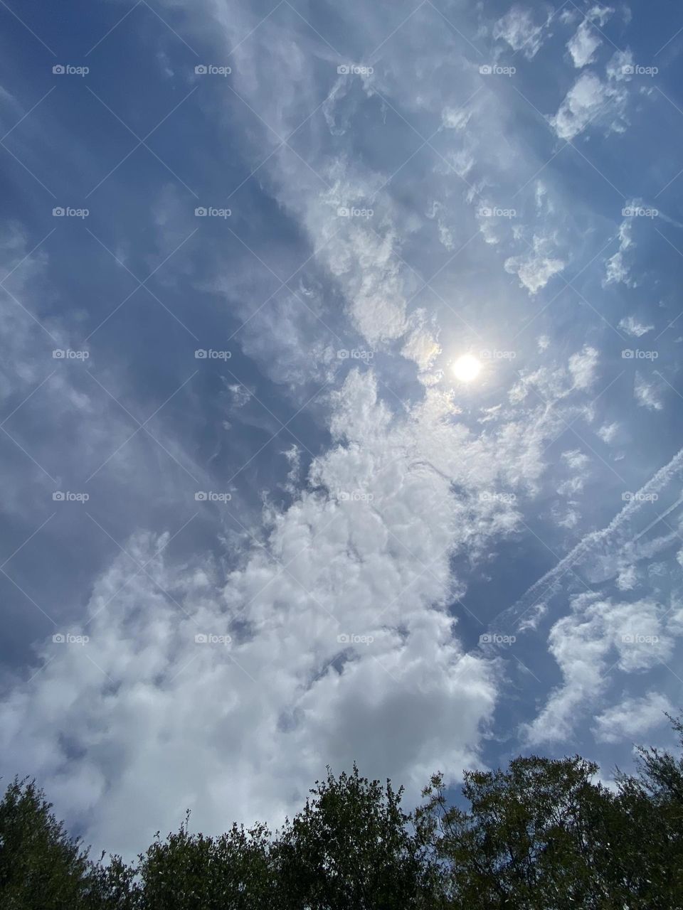 A beautiful sunny day 