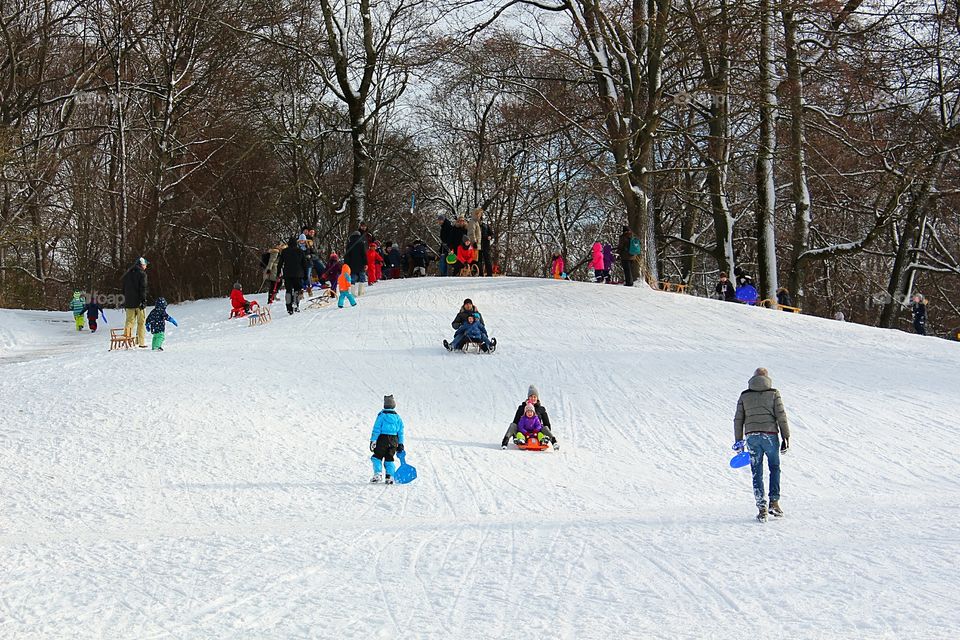 a colorful and fun winter