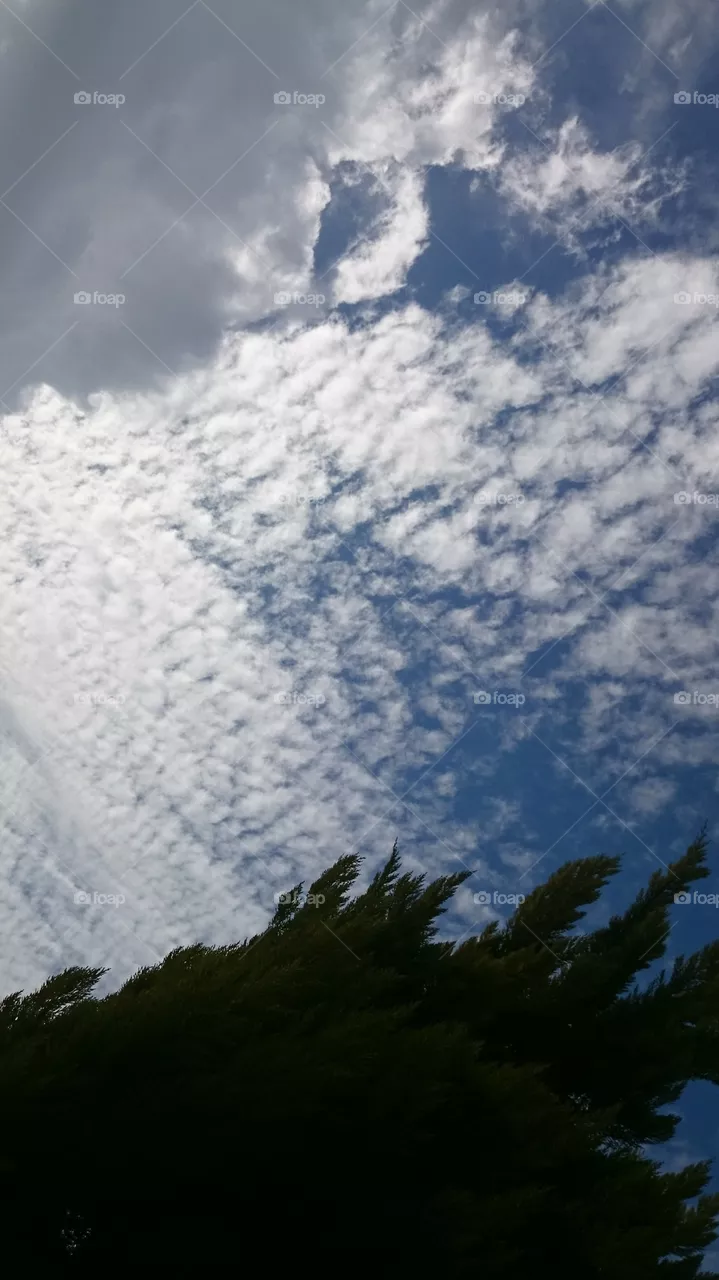 sky