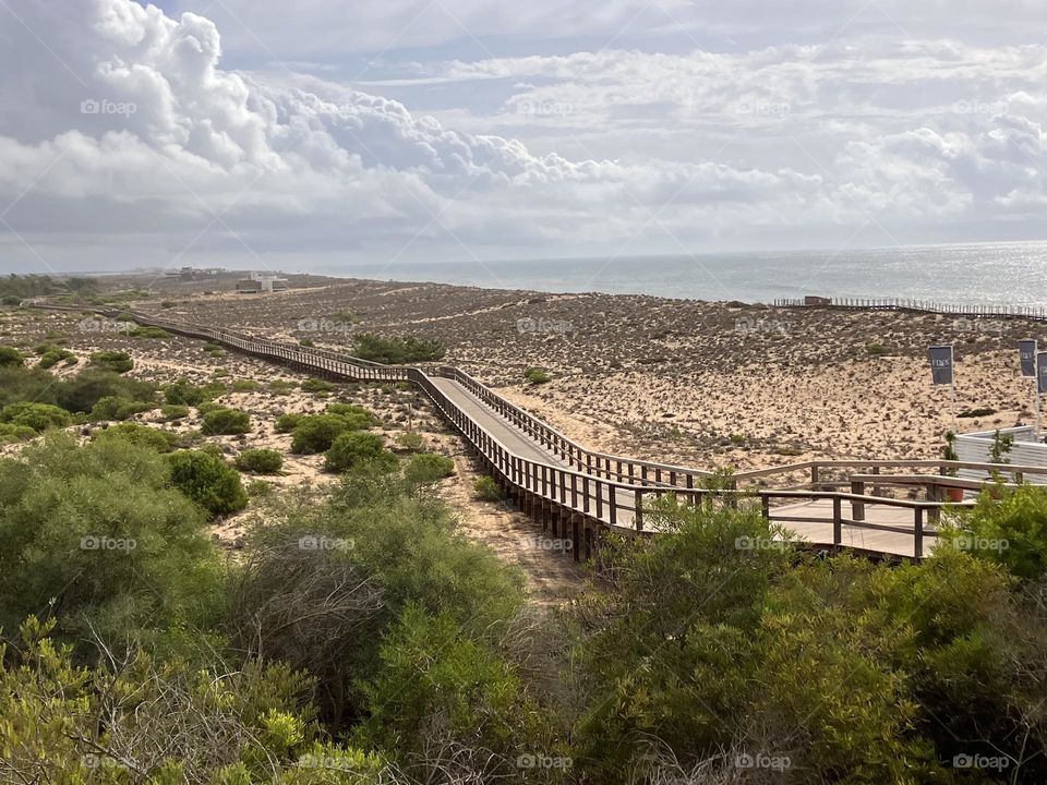 Walkway between beach and dunes