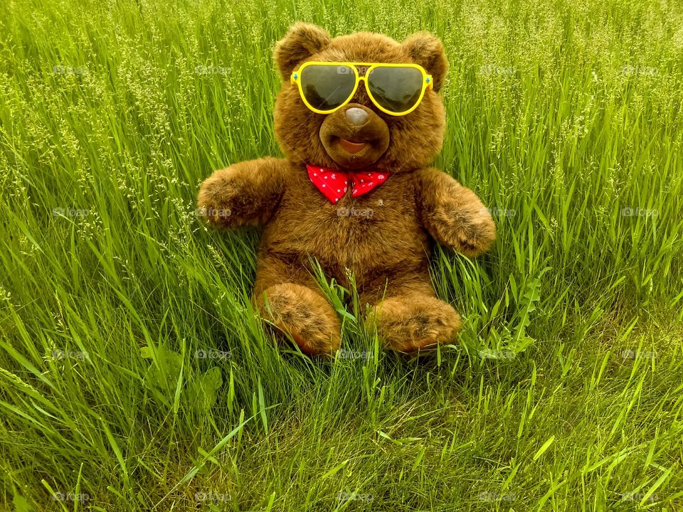 Summer Teddy Bear