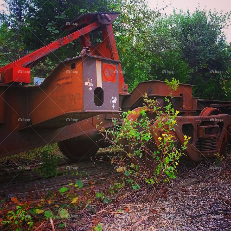 Abandoned Train Car 