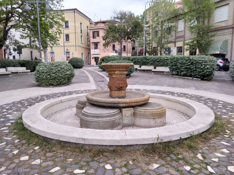 Editors' Choice: Photo of the Week