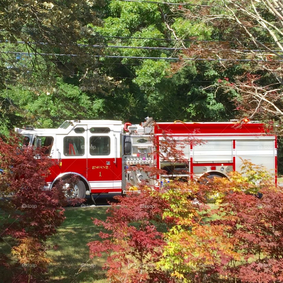 Full size ladder fire truck parked in street 🚨 🚒