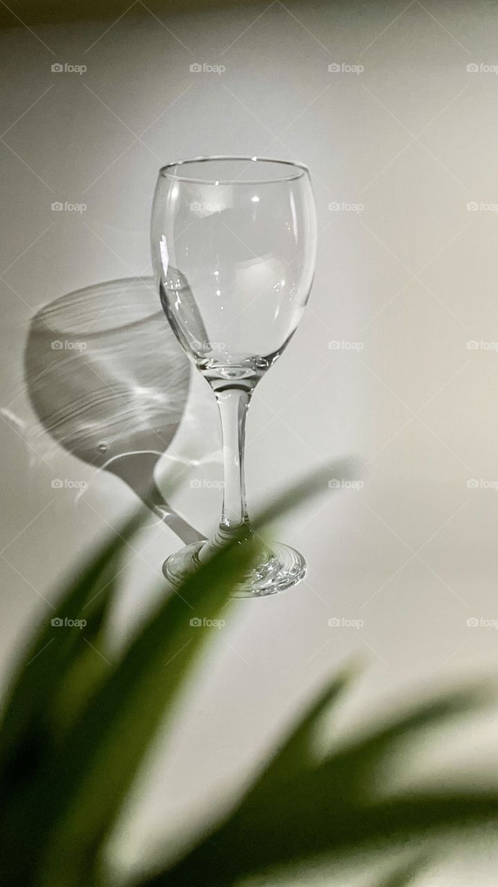 Shadow of wine glass