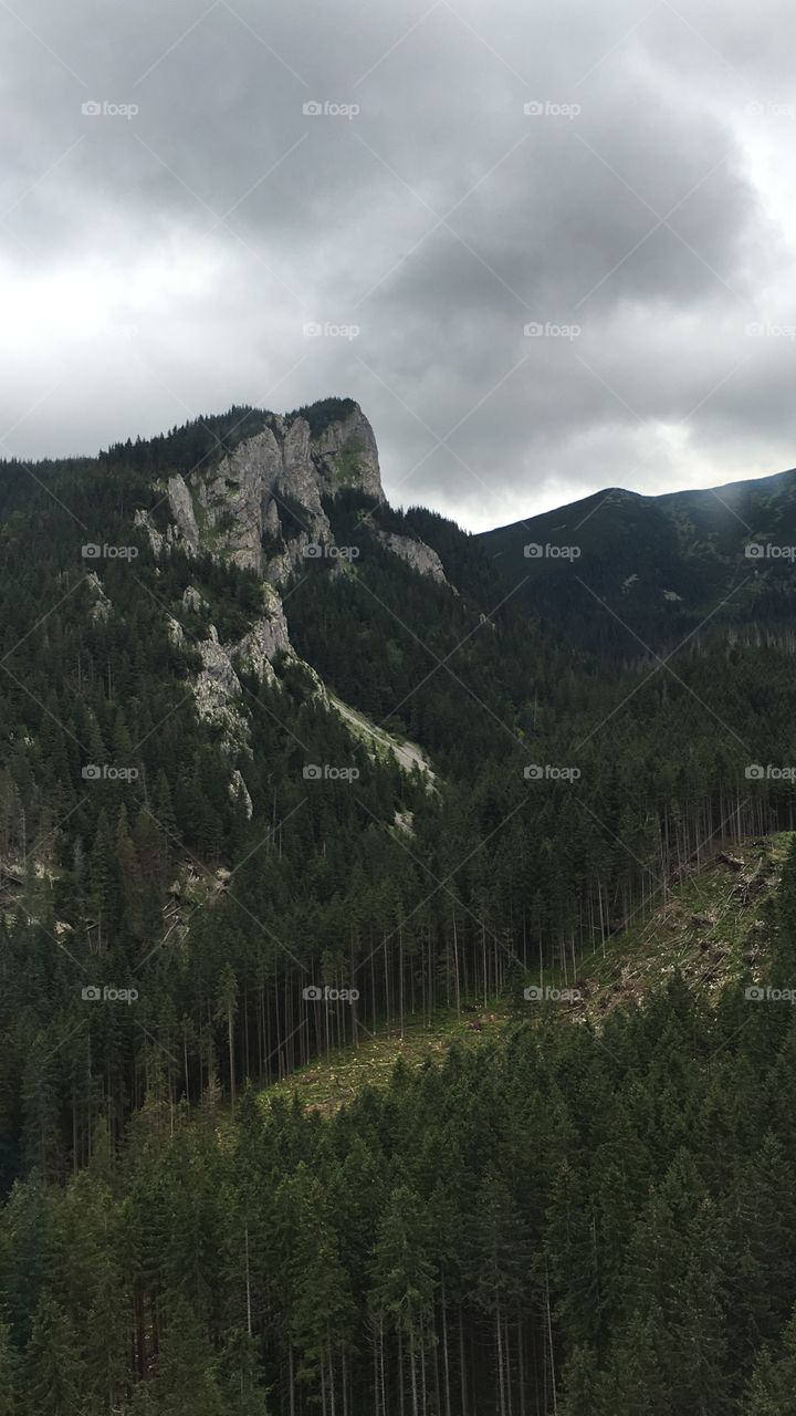 Another picture of zakopane but this is a cliff side by one of the mountains. 🏞