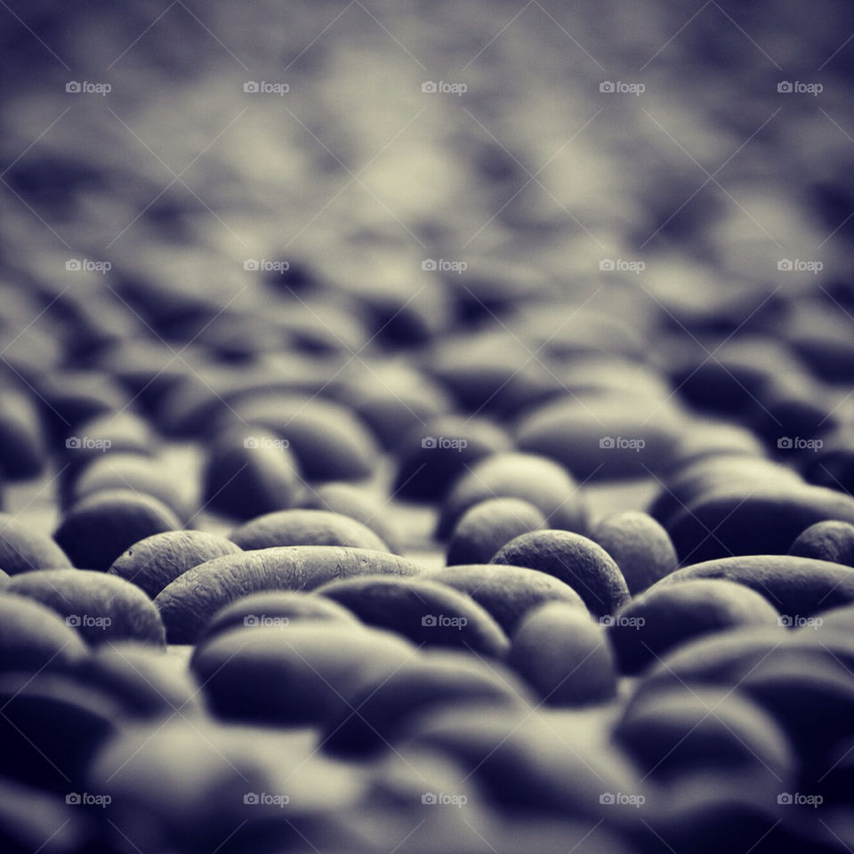 Stone path with shallow depth of field