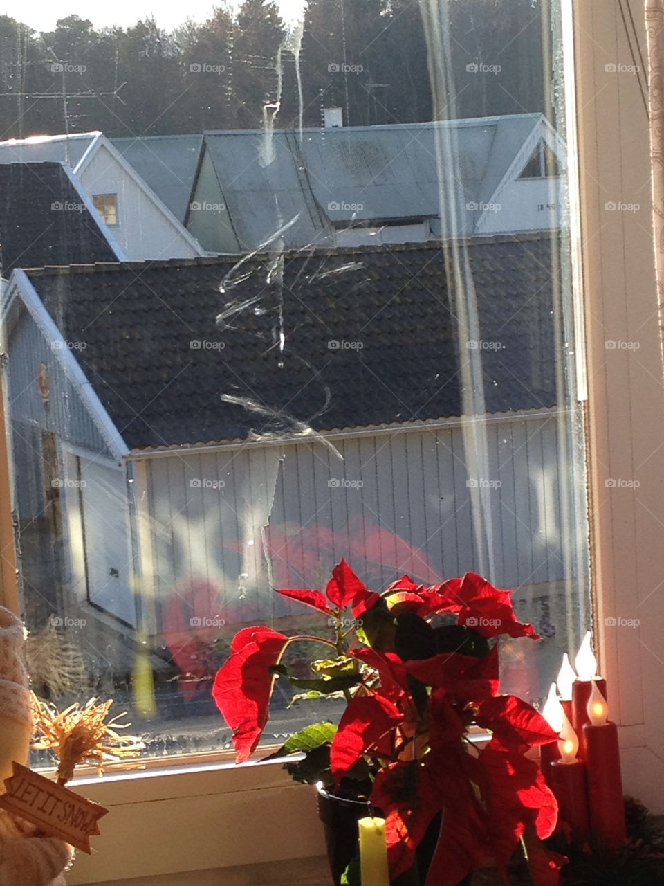 window sunshine christmasflower message by liselott