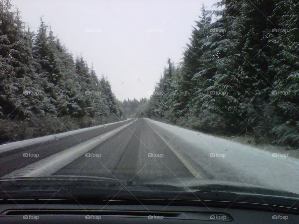 Snow Dayz. A drive out to watch a movie with my sister and the snow began to fill the road