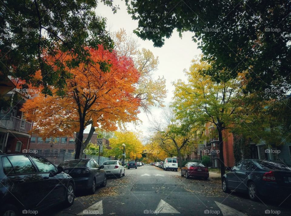 Autumn in the city.
