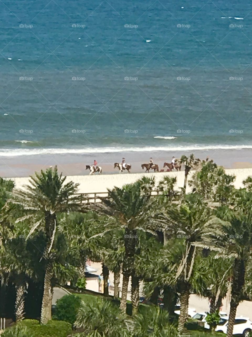 Summer Beach  horseback riding  