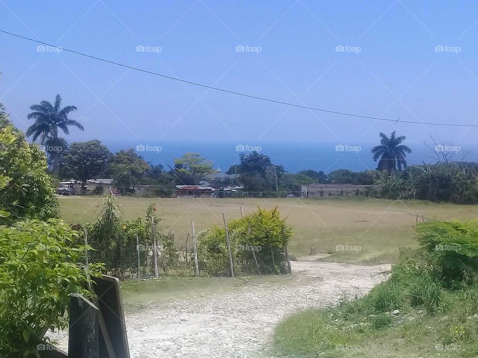 this is one of the must beautiful pictures I have ever taken an my daughter love it an I love it as well.