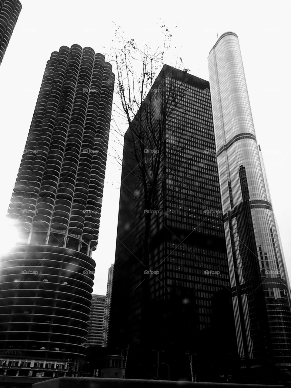 Chicago B & W