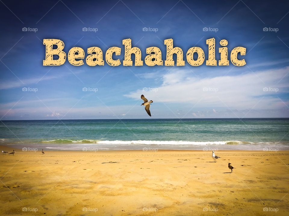 Beachaholic to heart! Love the ocean and watching the seagulls. 