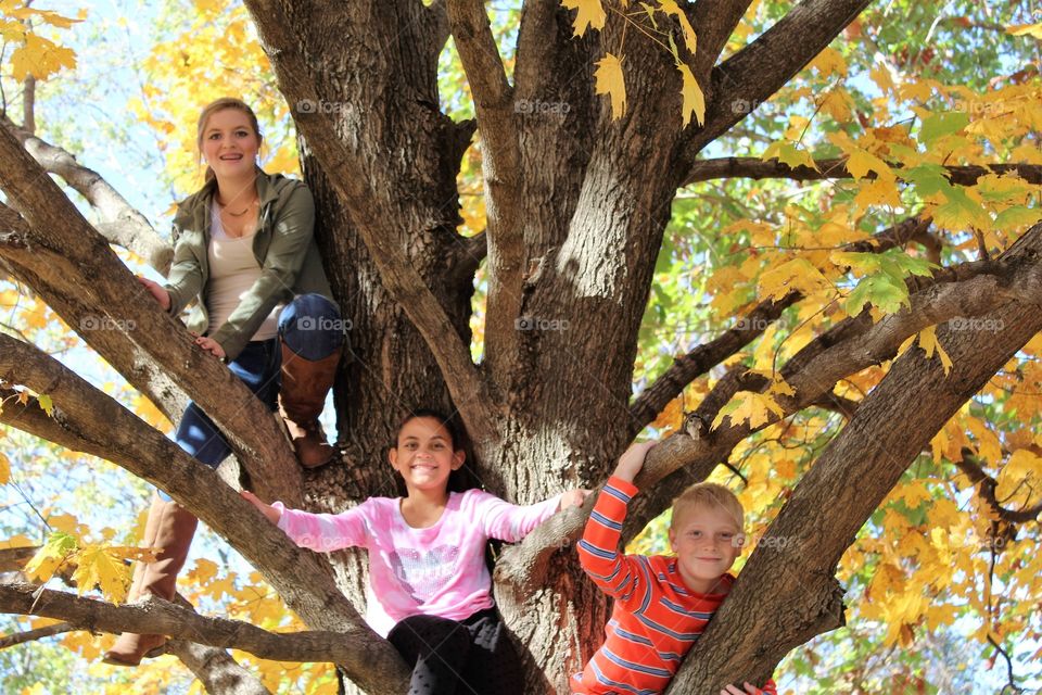 Mother with her children climbing on tree branch