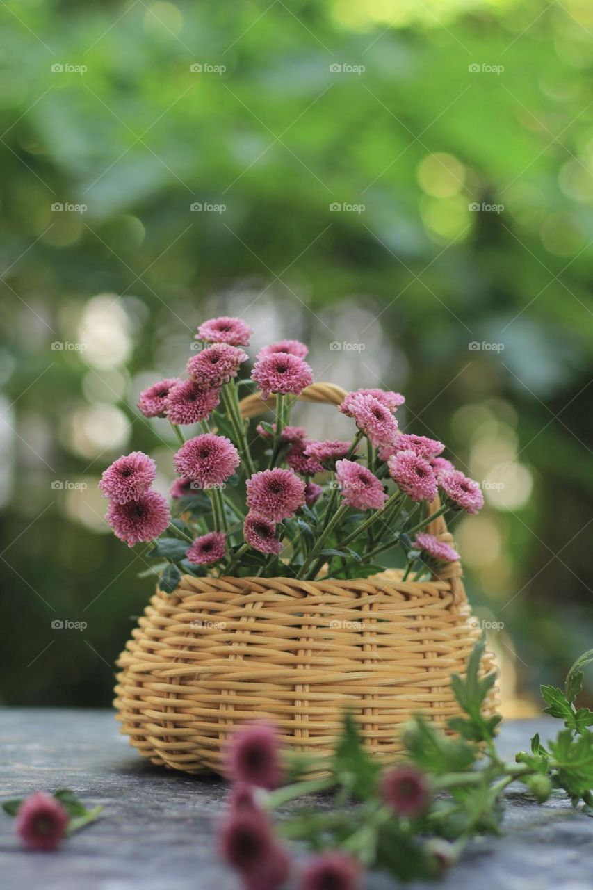 Pink flowers in a rattan vase on hand