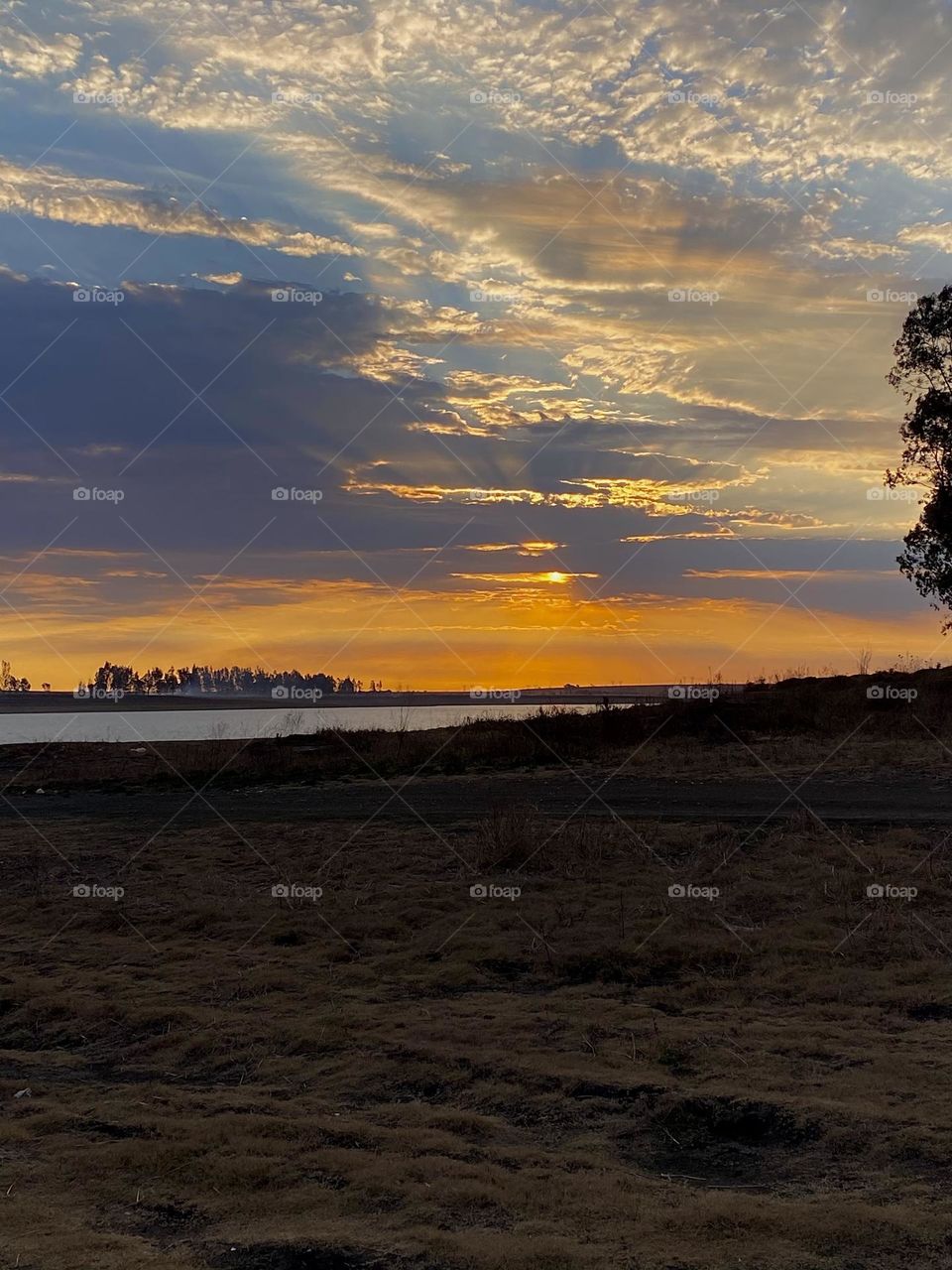 Sunset over dam