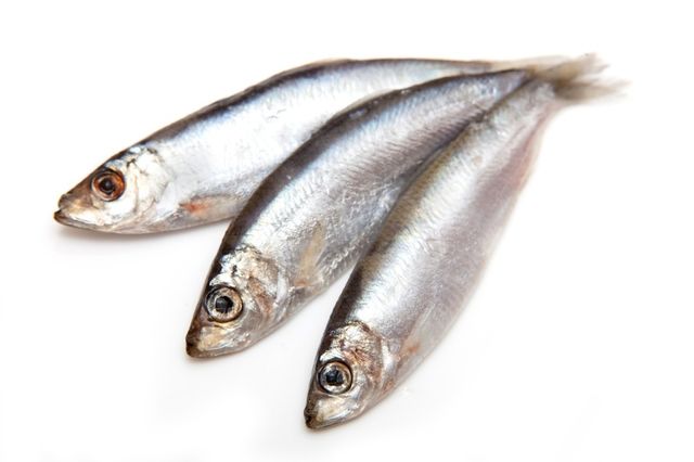 Sprats 