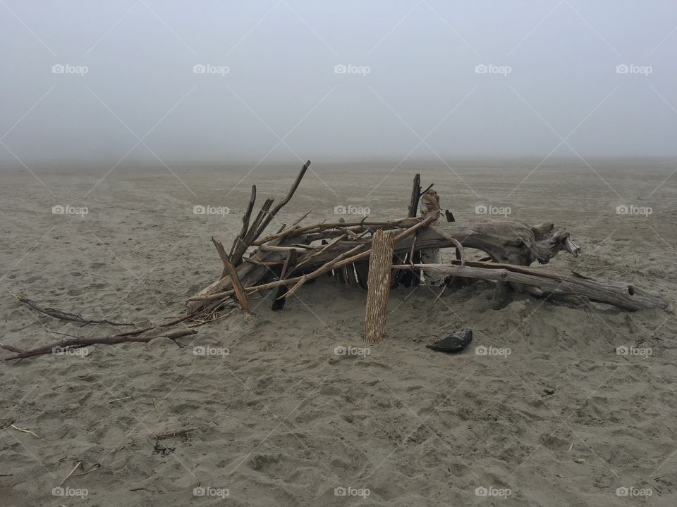 Driftwood