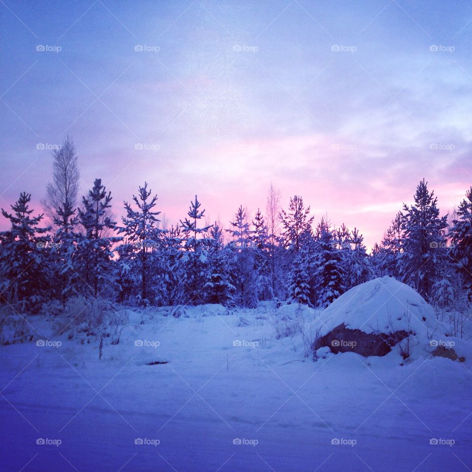 Dawn at winter, Finland