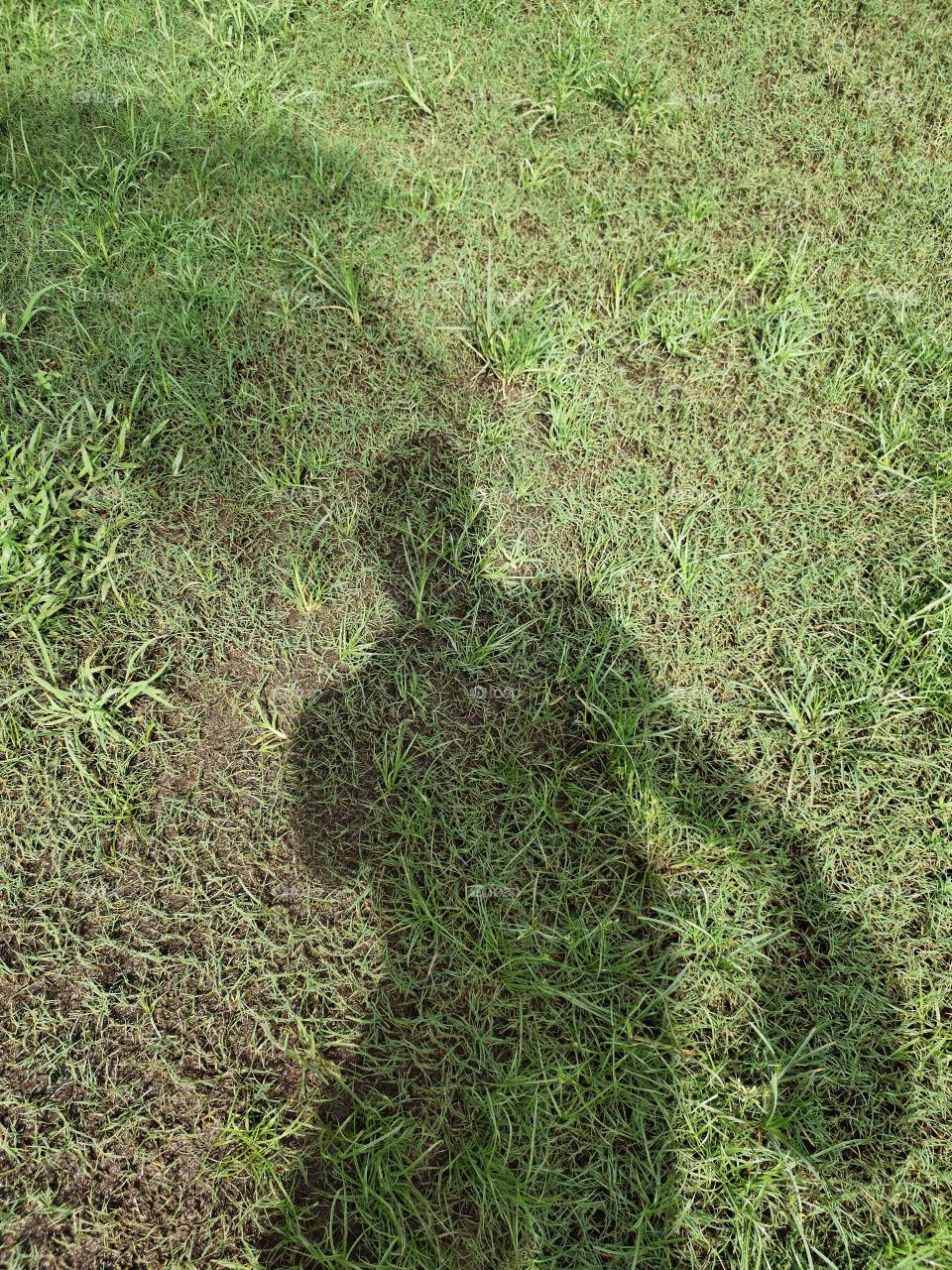 Shadow of Human👨‍💼 With Basket 🧺
Green Park
📷📷