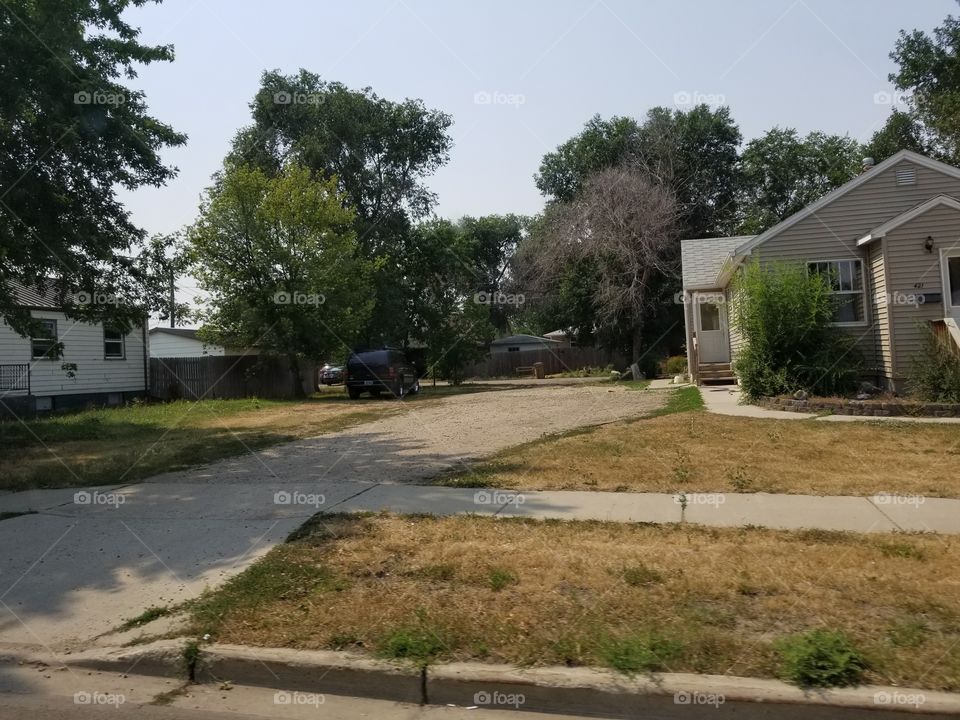 Home, Road, House, Tree, No Person