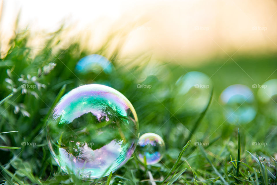 Bubbles on grass