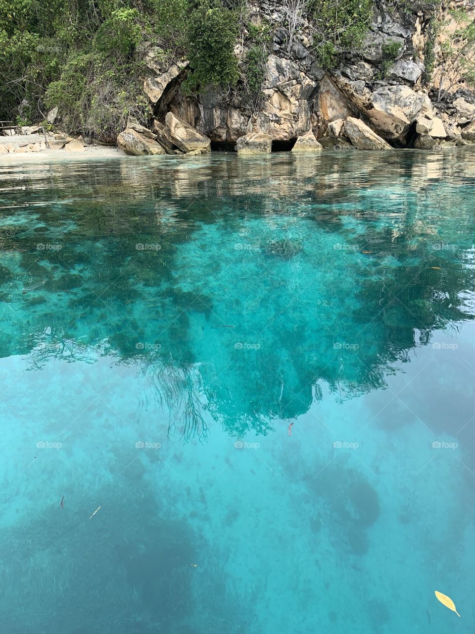 Blue Waters in Raja Ampat