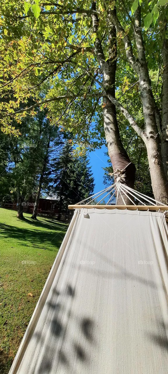 Oh, summer