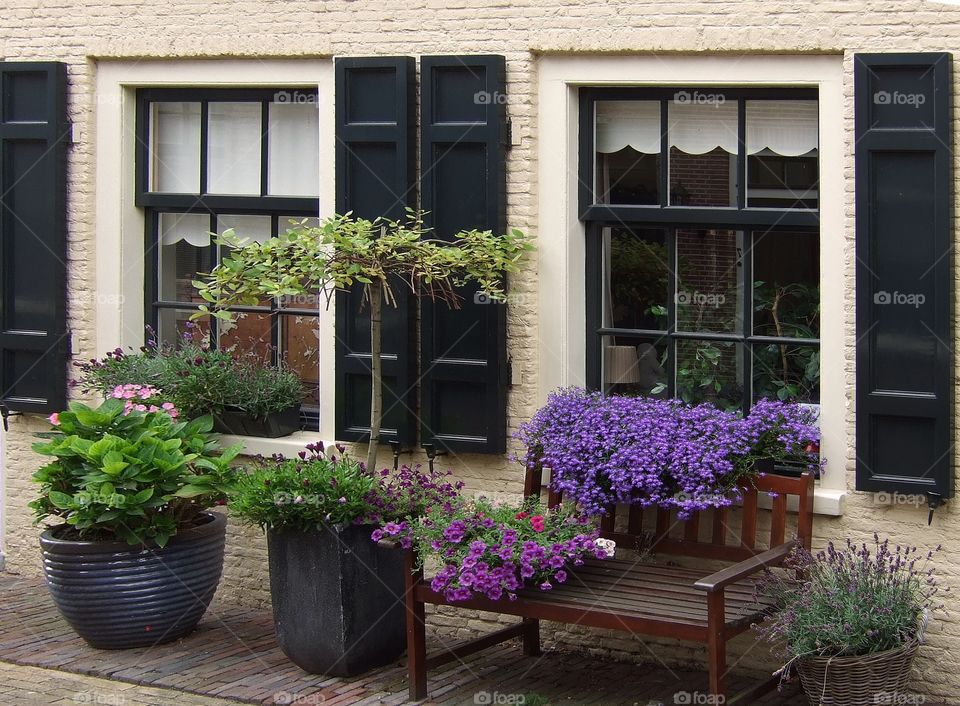 House windows with flowers