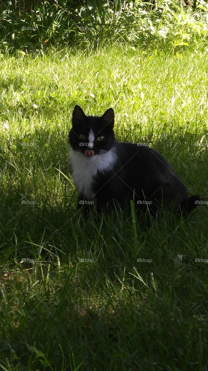 Thanks for the Snack