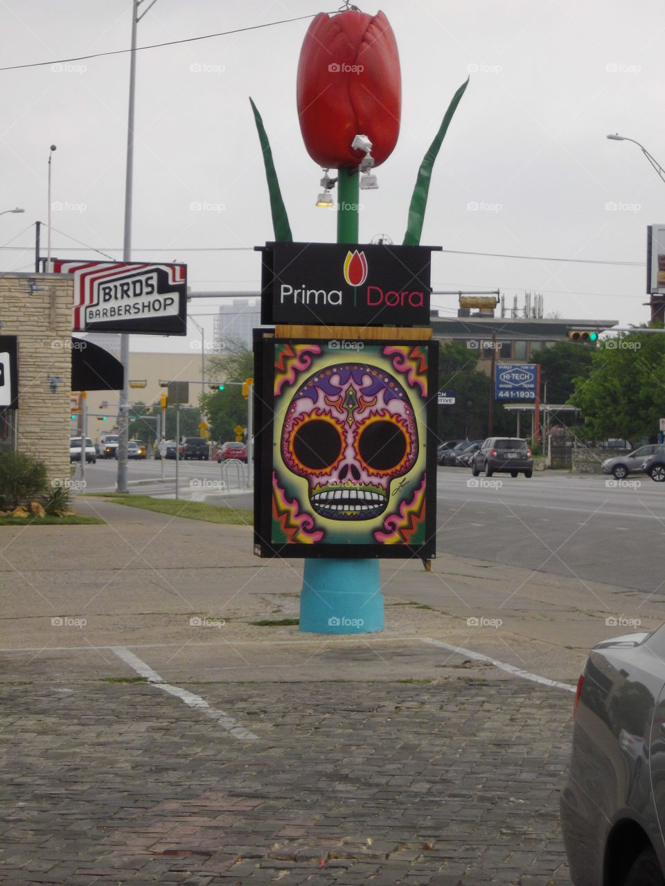 Sugar Skull Sign