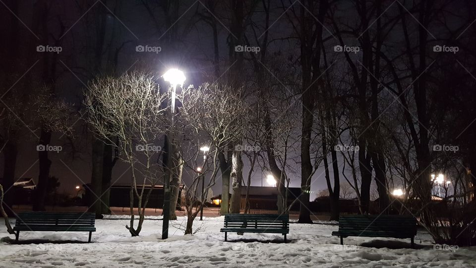 A park in Oslo'In'Norway