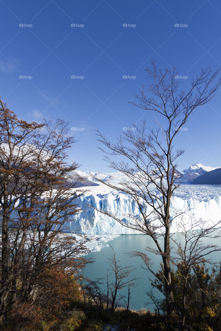 Perito Moreno Glacier near El Calafate in Argentina.
