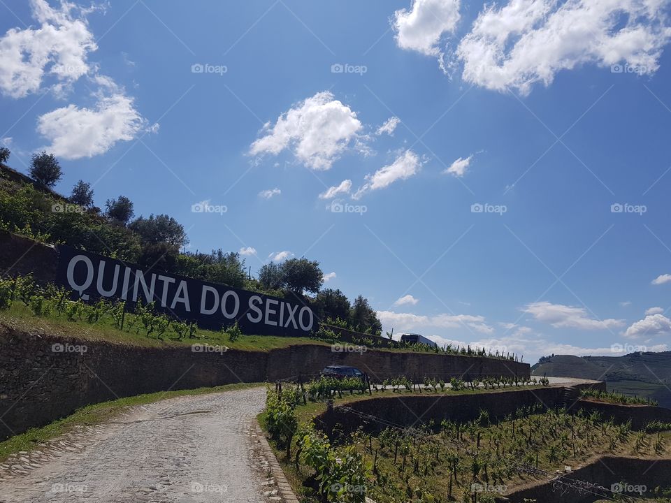 Douro Vinhateiro
