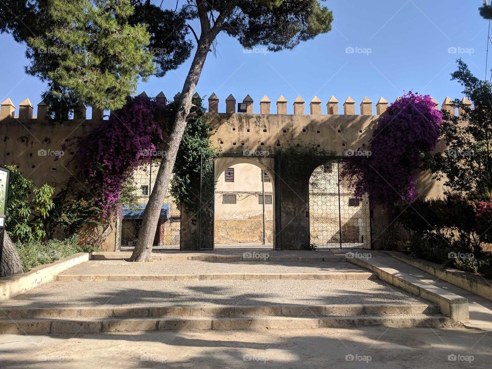 Jardin Jnan Sbil in Fez (Fes), Morocco - Castle-Like Wall with Three Arches/Entrances and Trees and Purple Flowers