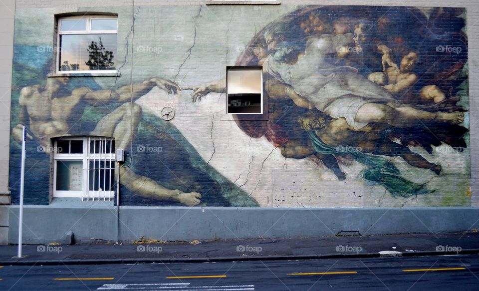 Street art of Auckland