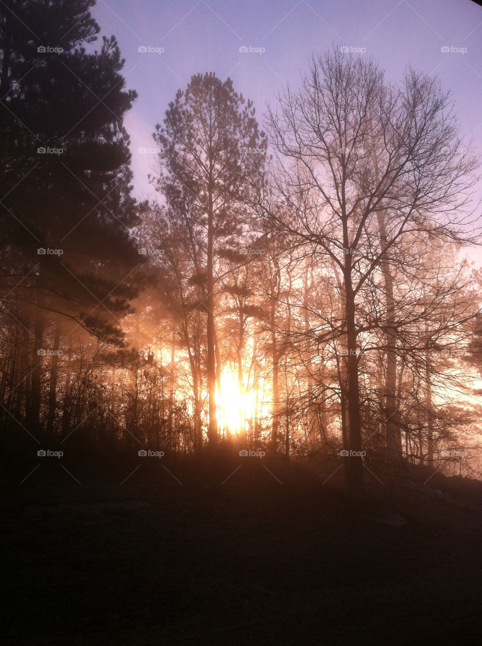 sky colors tree sun by creative_bacon