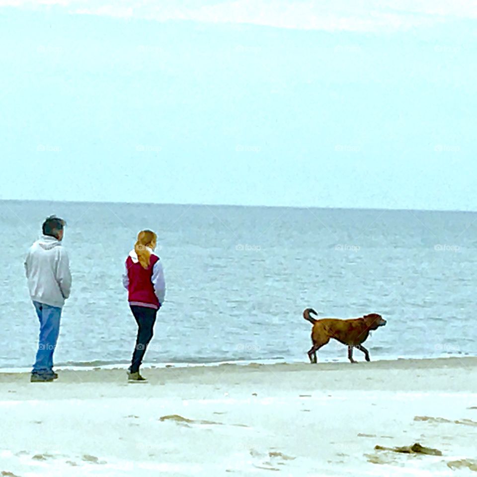 Couple & Dog Walking on Beach