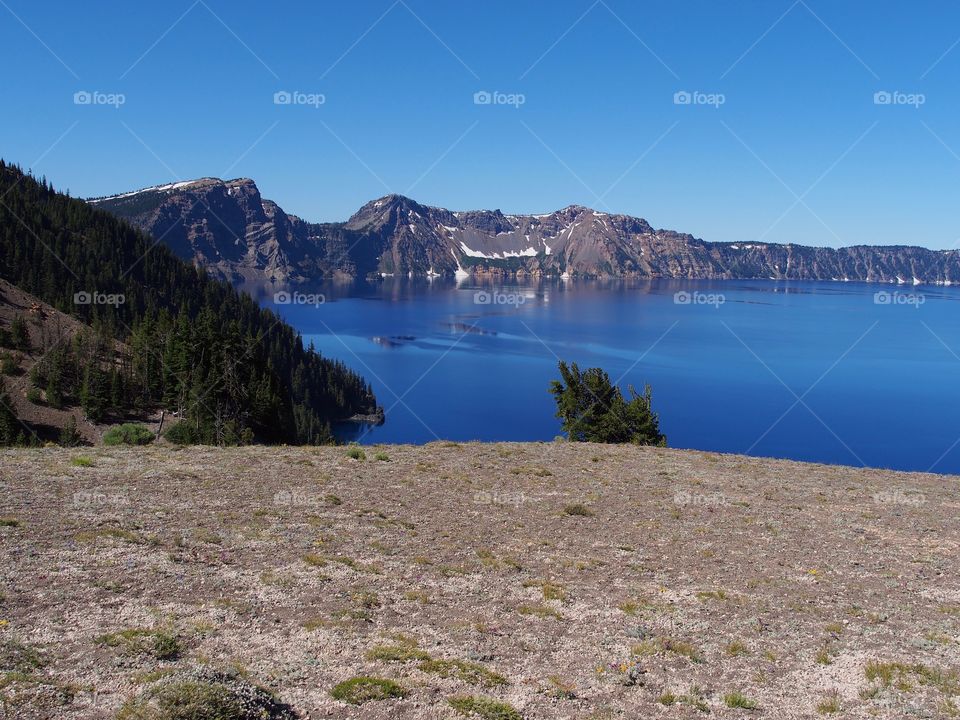 The rich blue waters of the deep Crater Lake in Southern Oregon with fir trees on the jagged rim on a beautiful sunny summer morning with clear blue skies. 