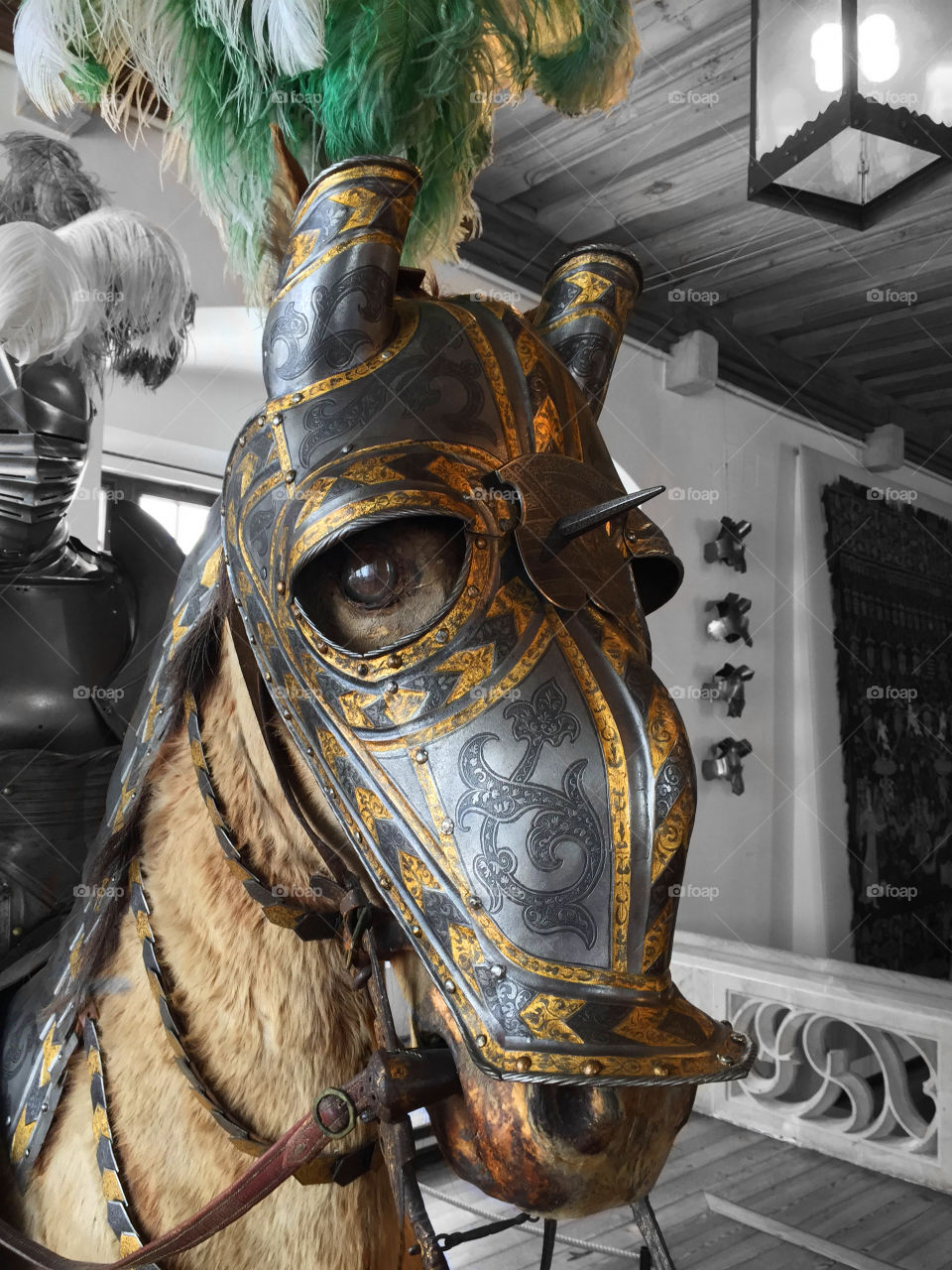 Horse's Armour
Coburg Castle
Germany