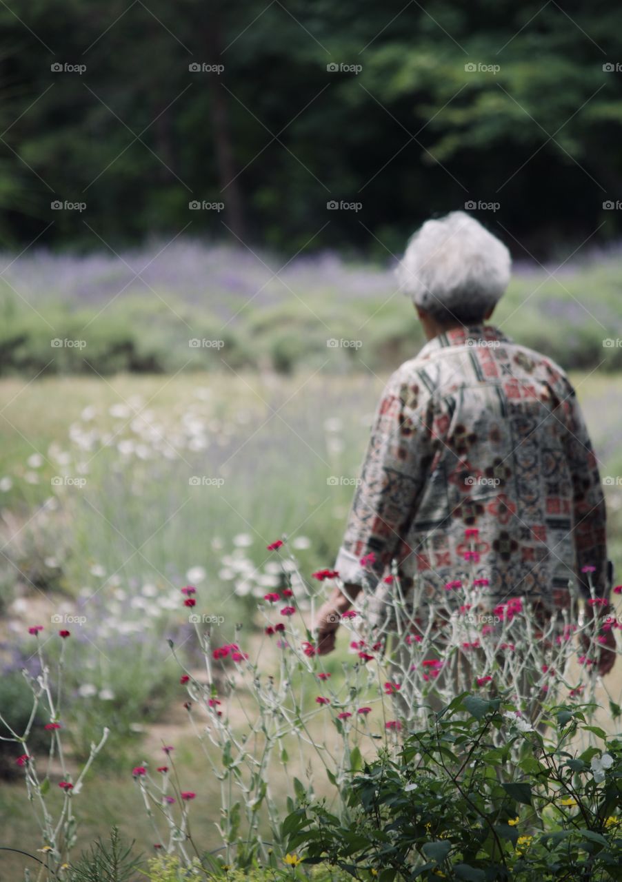 In the garden 