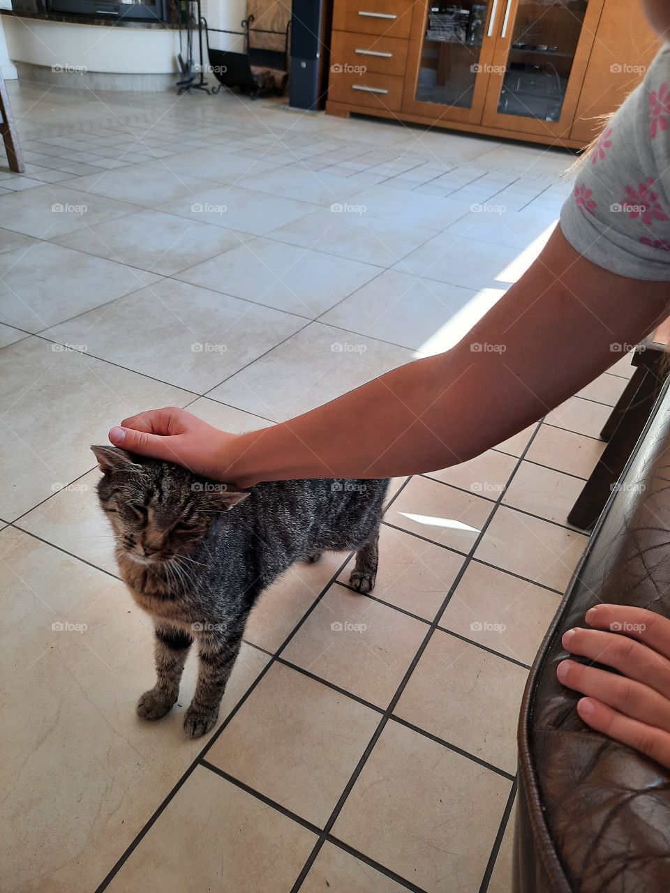 kid stroking her pet indoors